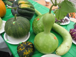 Gourds in competition